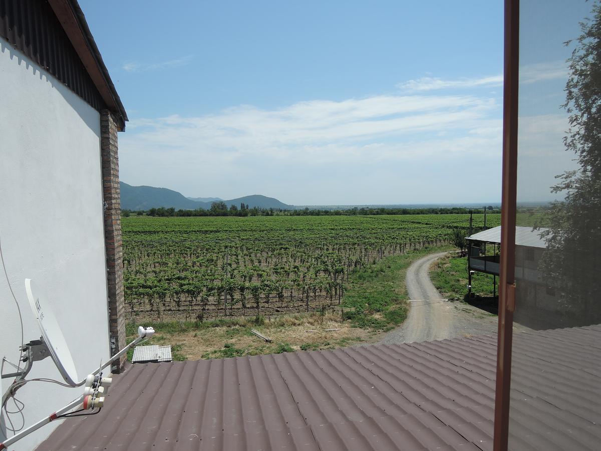 Shaloshvili'S Cellar Hotel Silda Kültér fotó