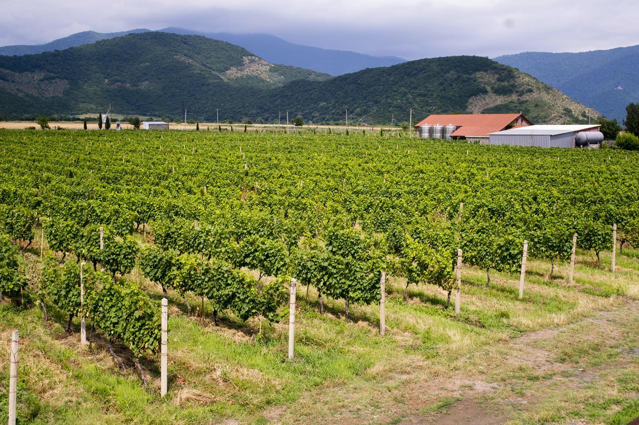Shaloshvili'S Cellar Hotel Silda Kültér fotó