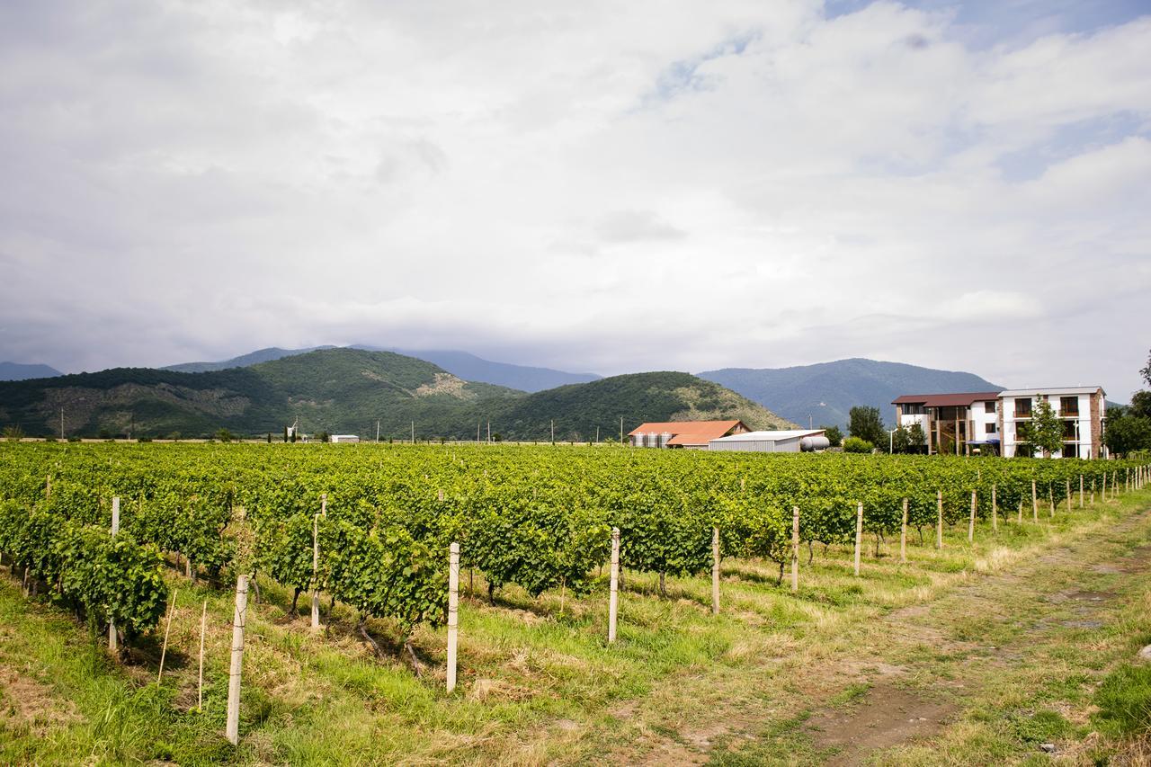 Shaloshvili'S Cellar Hotel Silda Kültér fotó