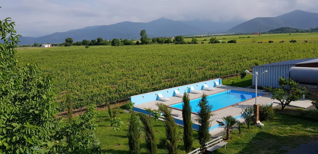 Shaloshvili'S Cellar Hotel Silda Kültér fotó