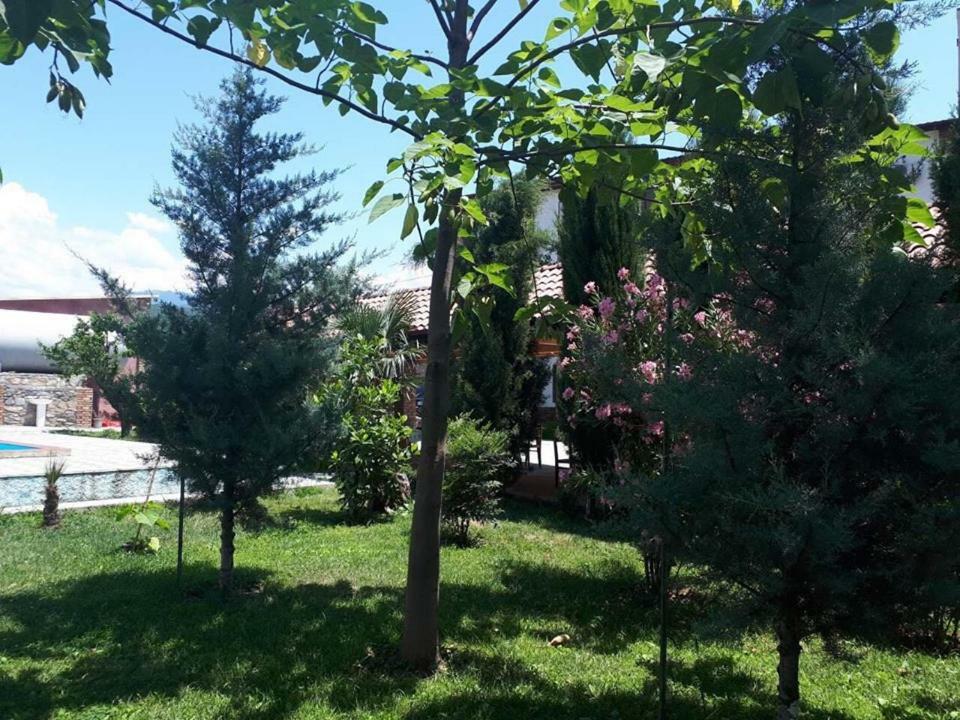 Shaloshvili'S Cellar Hotel Silda Kültér fotó